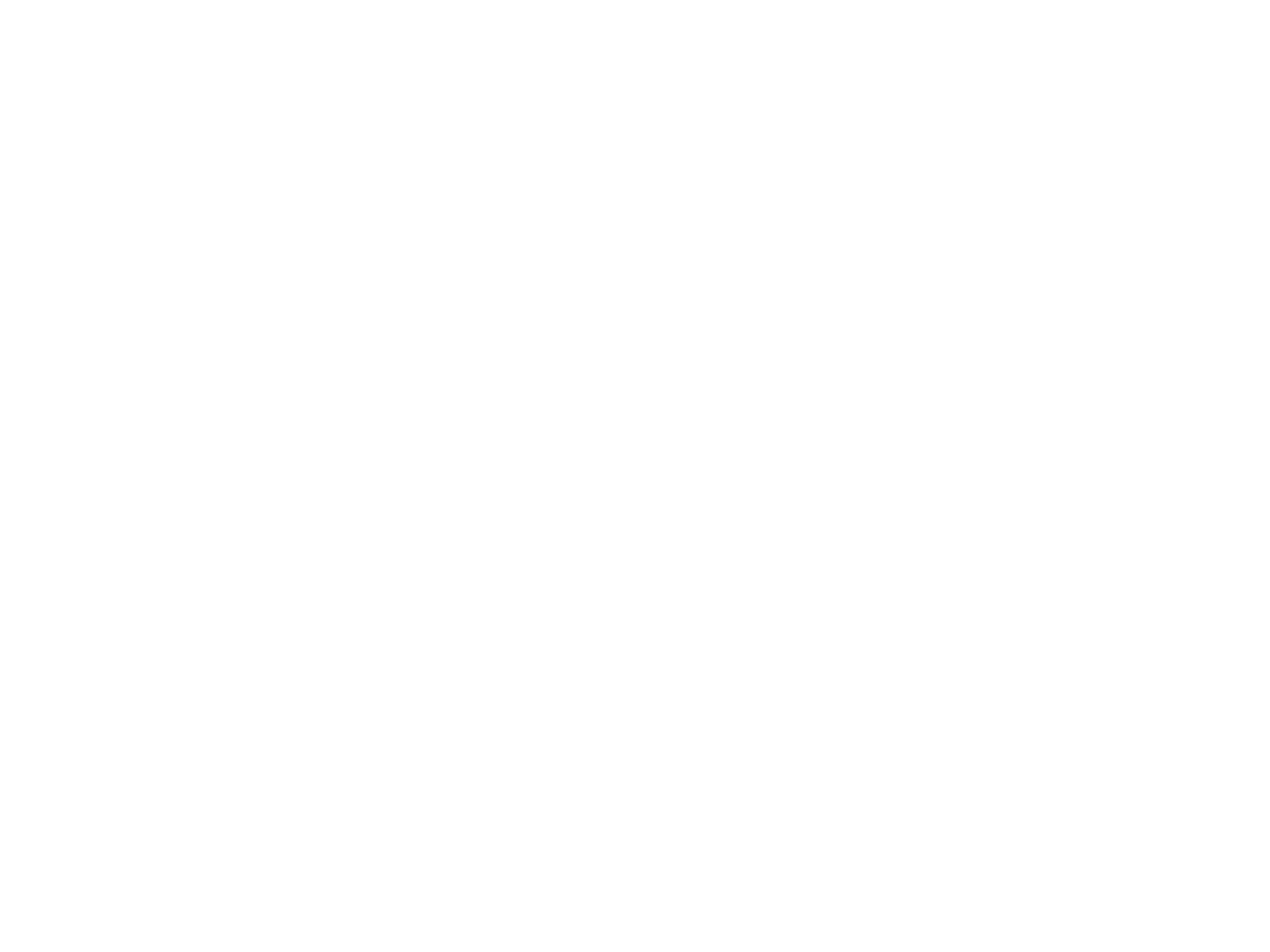 Nightzone Logo